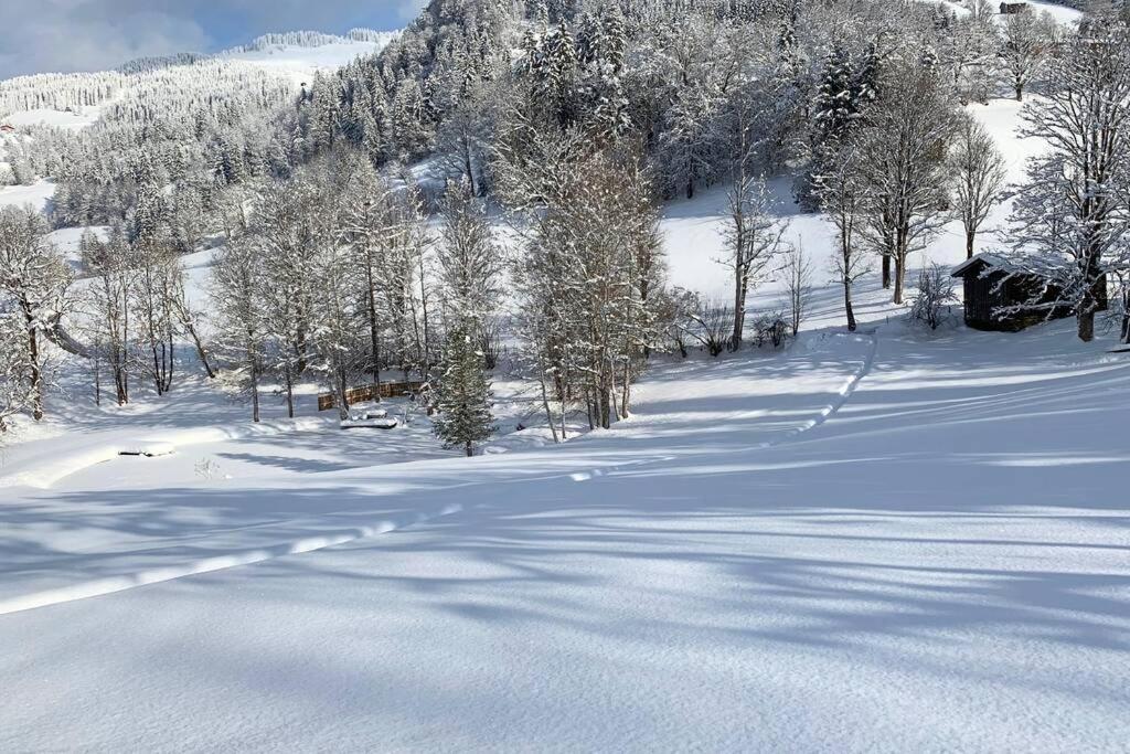 Zuhaus Schernfeichten * Kitzbühel